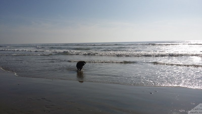 Фотография № 147970