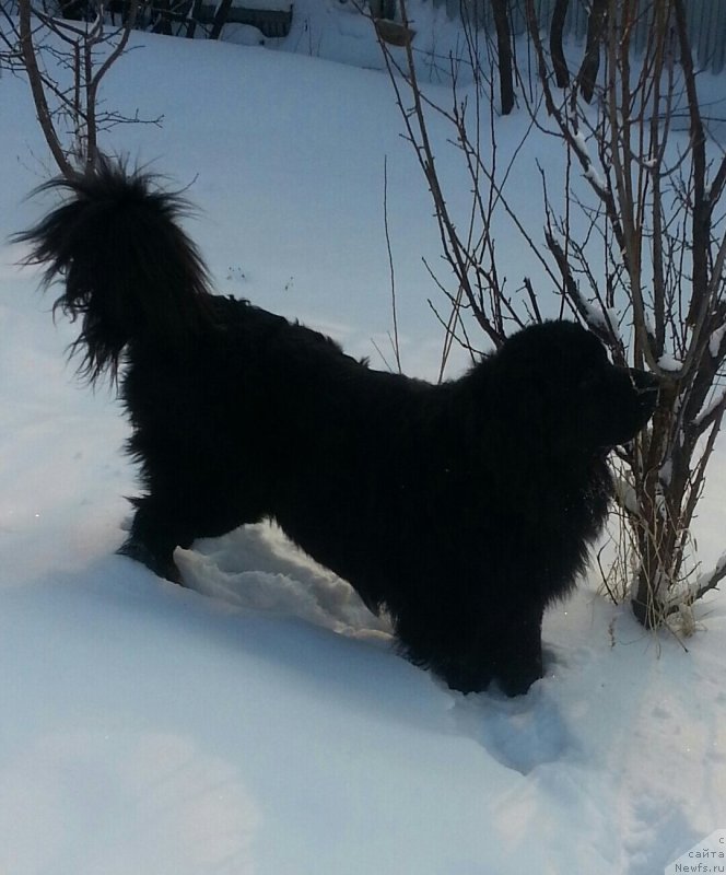 Фото: Ольга Фисенко