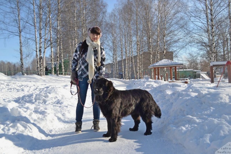 Фотография № 147997