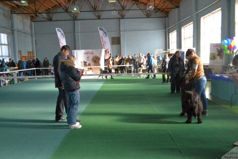 Фотография № 147998