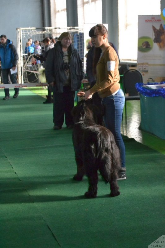 Фотография № 147999