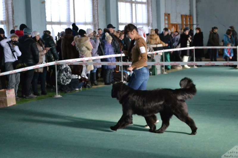 Фотография № 148000