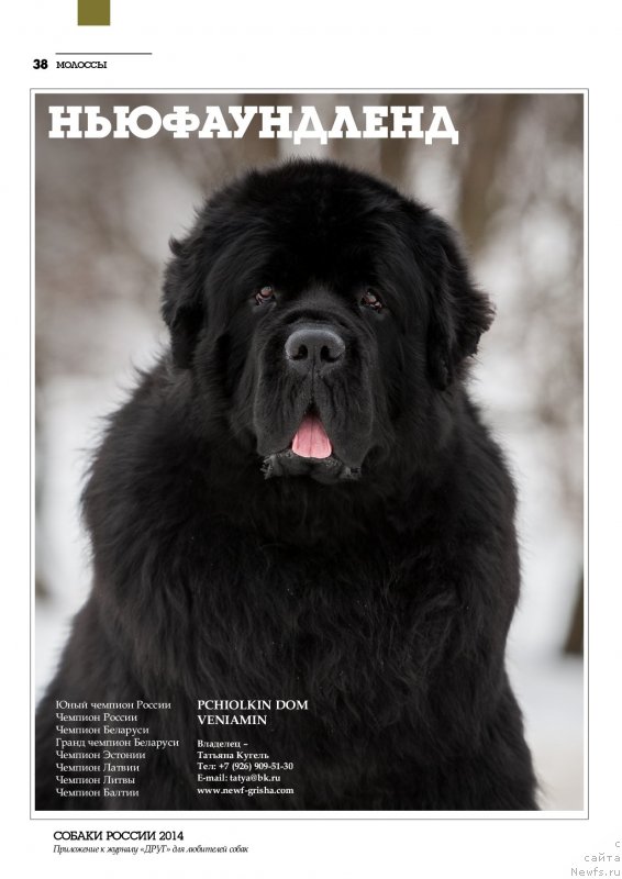 Фотография № 148002