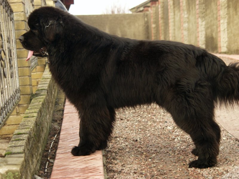 Фотография № 148011