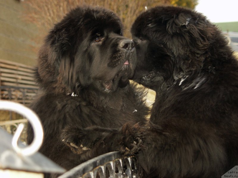 Фотография № 148013