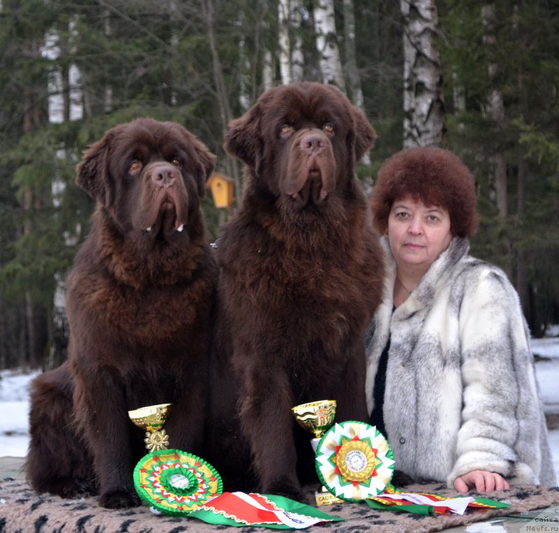 Фотография № 148024