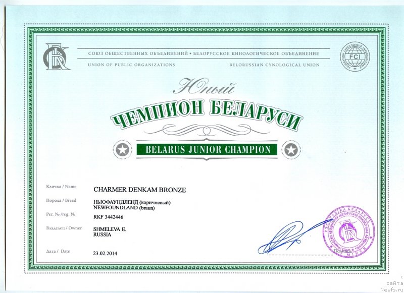 Фото: ньюфаундленд Чармер Денкам Бронз (Charmer Denkam Bronze)