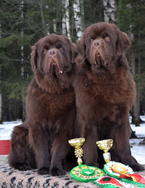 Фотография № 148028