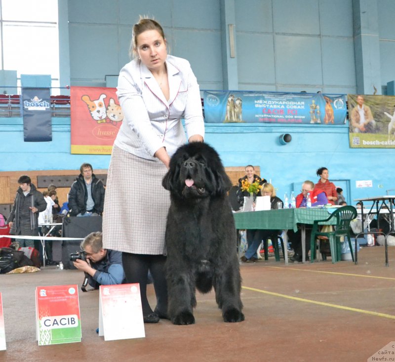 Фотография № 148036