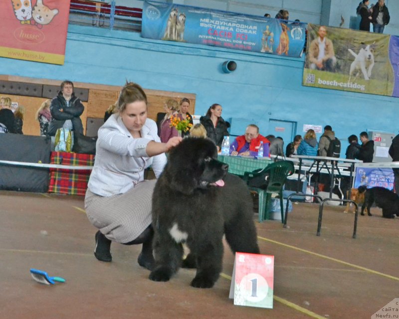 Фотография № 148043