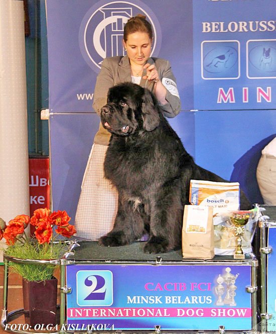 Фотография № 148051