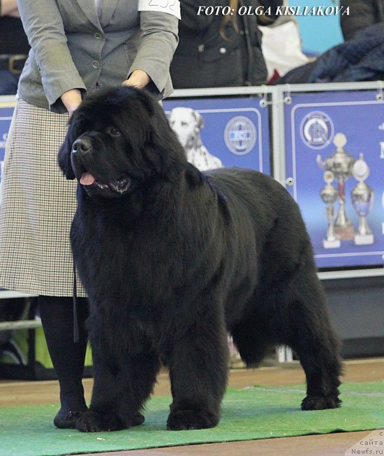 Фотография № 148053