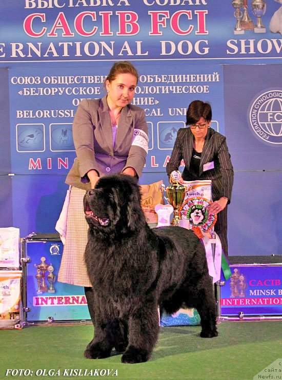 Фотография № 148054