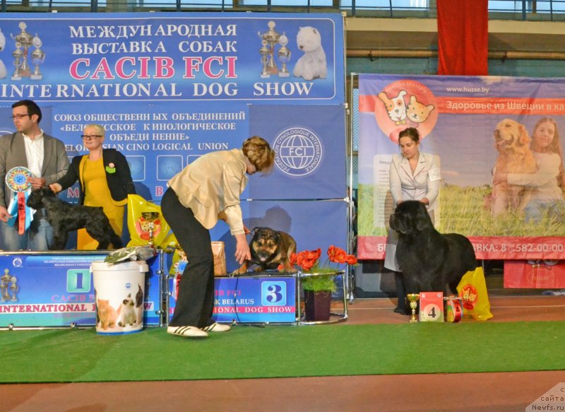 Фотография № 148060