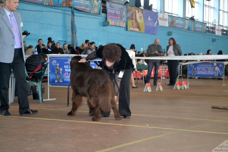 Фотография № 148081