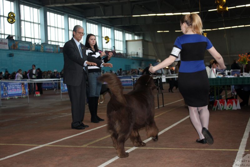 Фотография № 148084