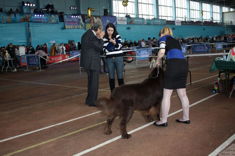 Фотография № 148085