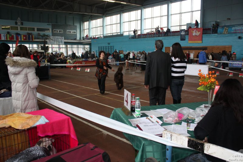 Фотография № 148086