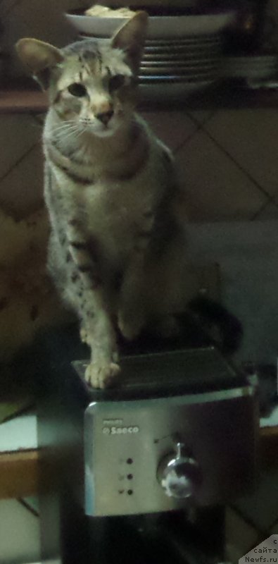 Фото: Сергей Жуков