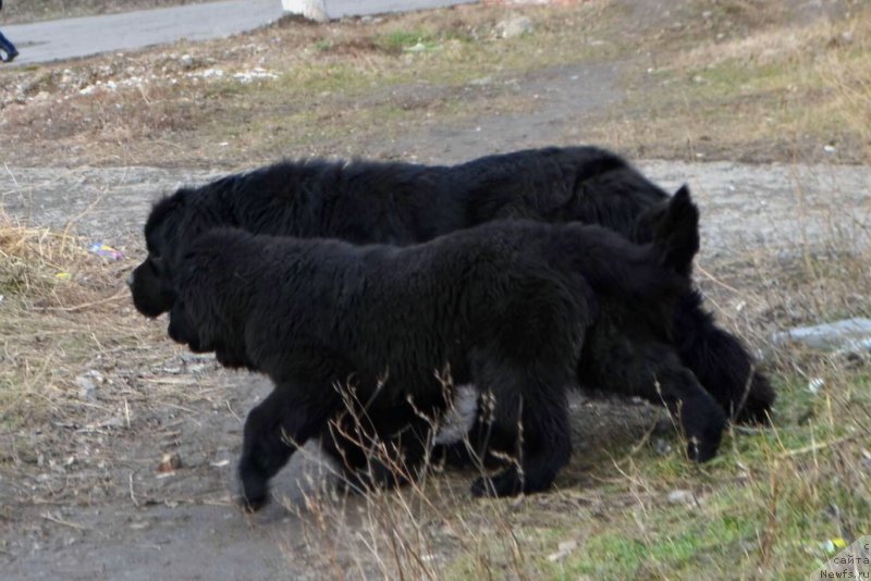 Фотография № 148127