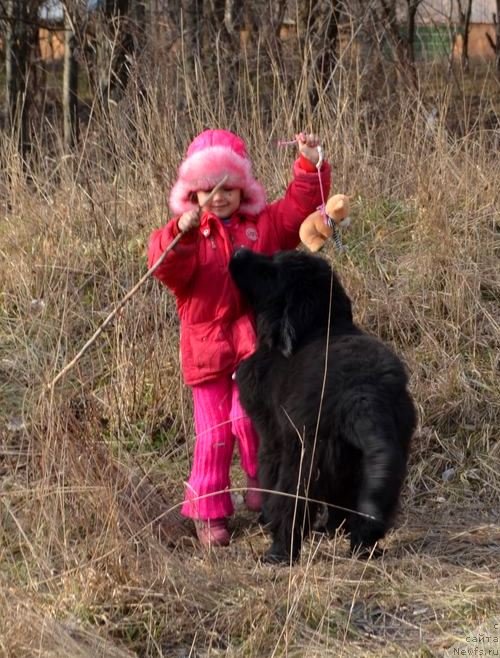 Фотография № 148130