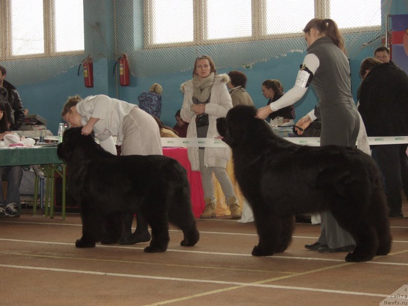 Фотография № 148142