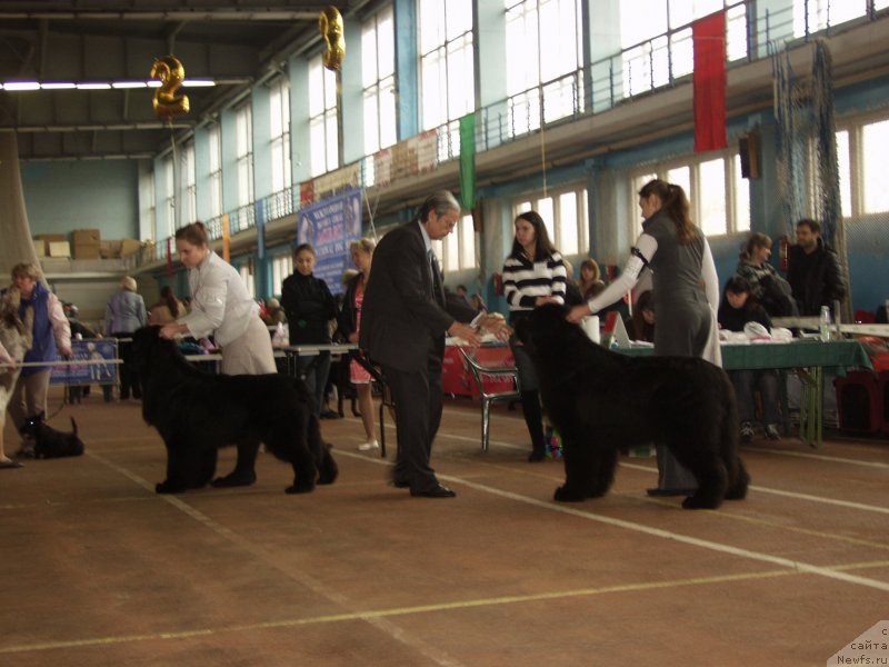 Фотография № 148143