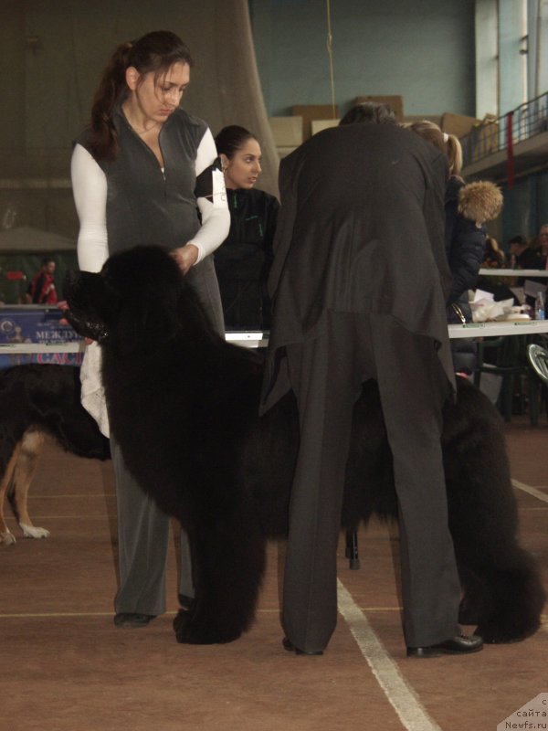 Фотография № 148144