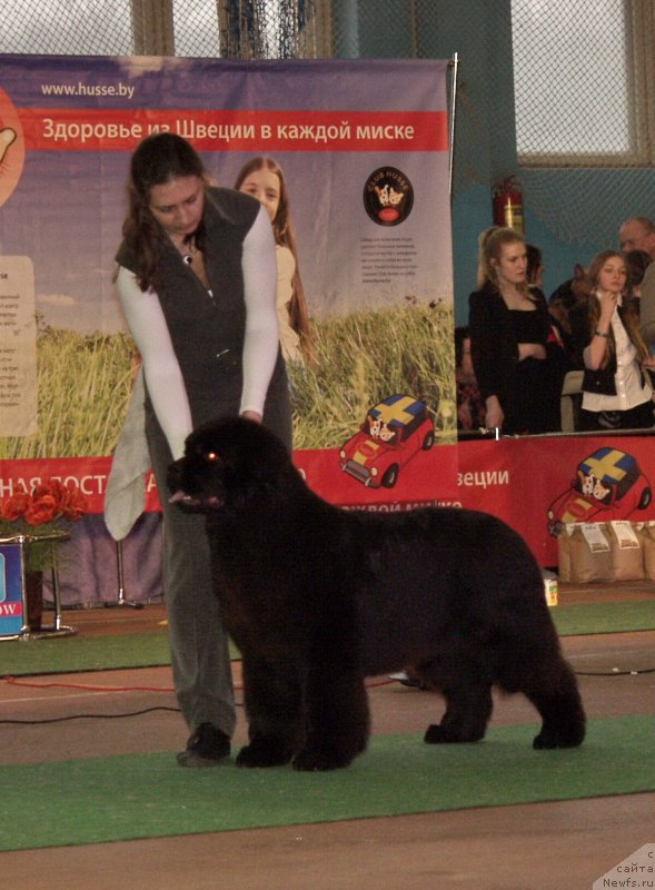 Фотография № 148146