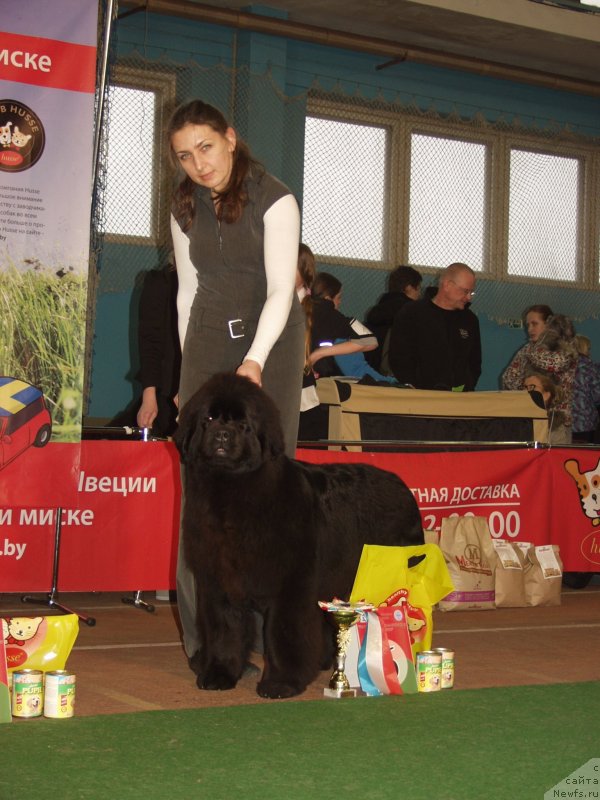 Фотография № 148148