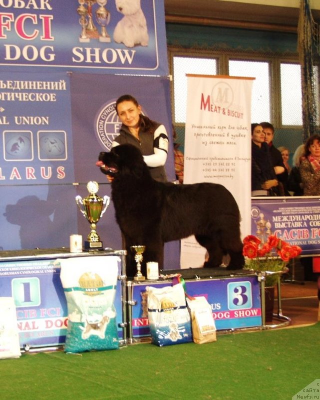 Фотография № 148149