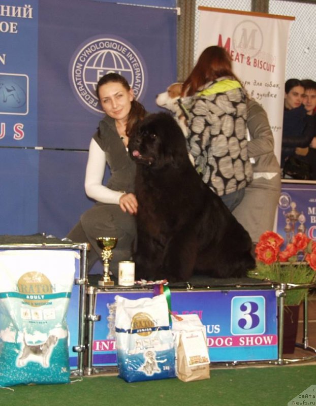 Фотография № 148150