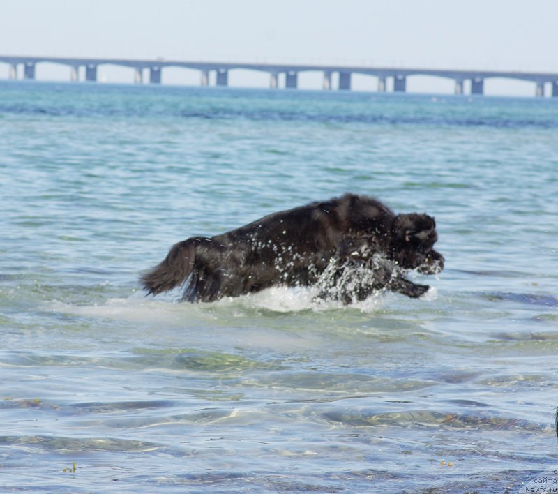 Фотография № 148153