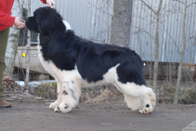 Фотография № 148184