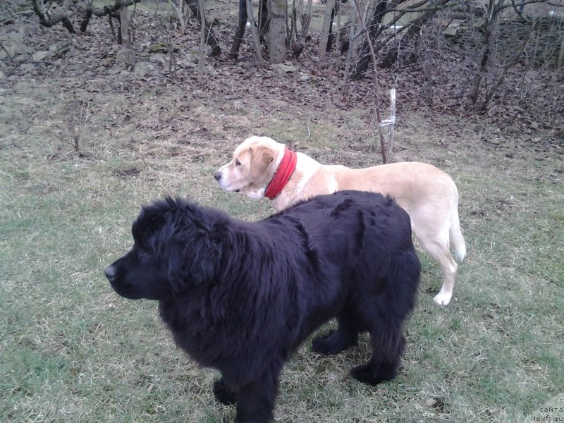 Фотография № 148188