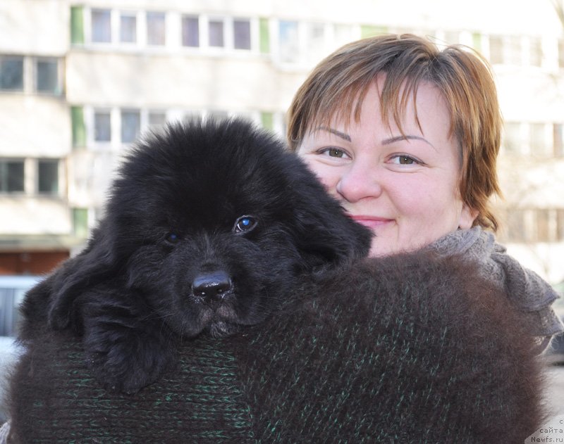 Фото: Татьяна Абутова, Бегущая по волнам Фрозен Бьюти