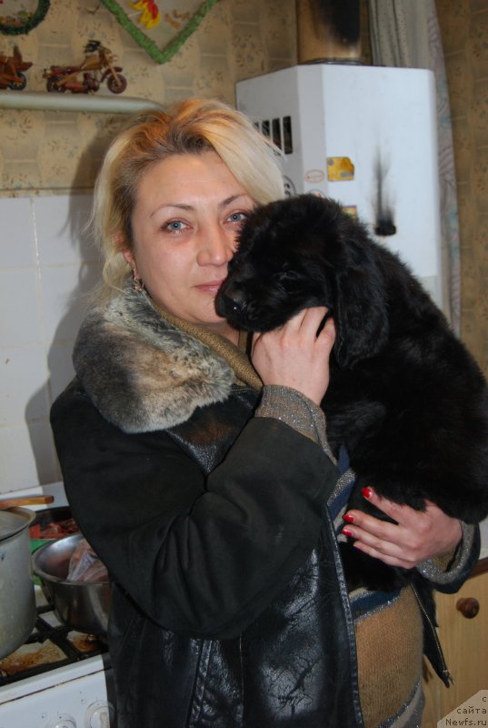 Фотография № 148199