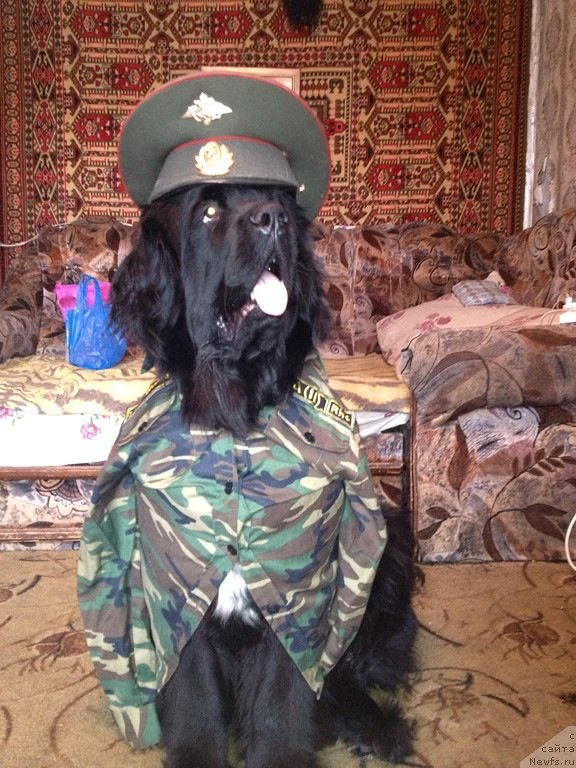 Фото: Ольга Фроленко