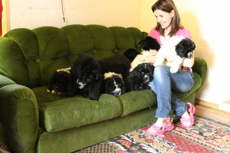 Фотография № 148204