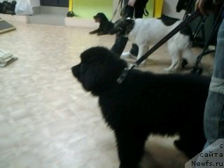 Фото: [d13074] и другие первоклассники.