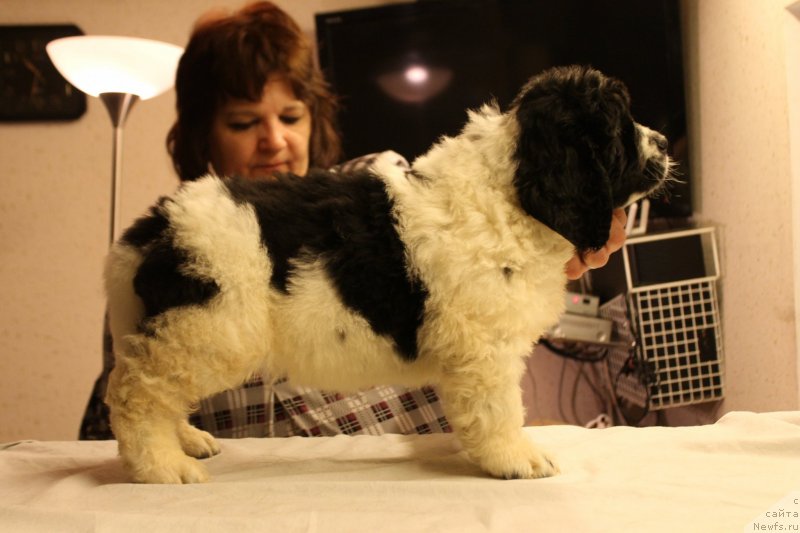 Фотография № 148228