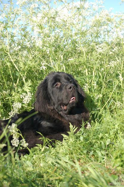 Фотография № 14823