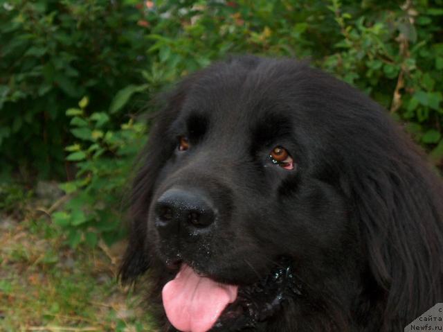 Фото: [d4545]Циркуша