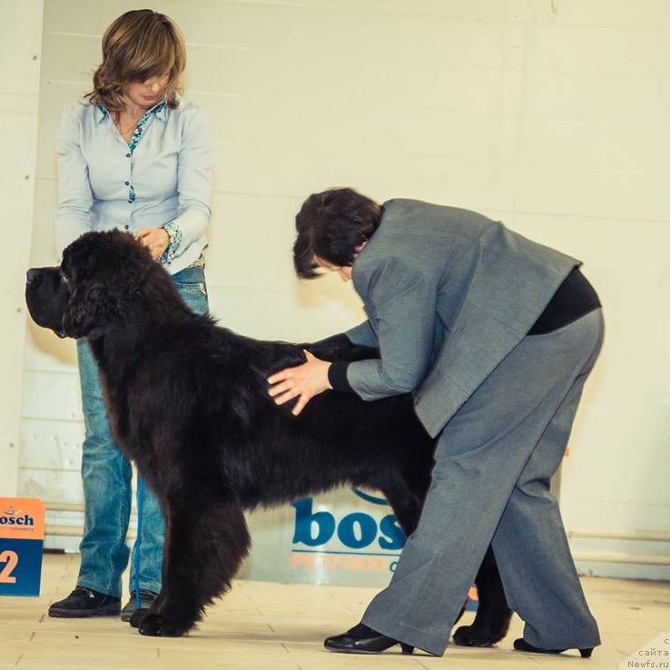 Фотография № 148253