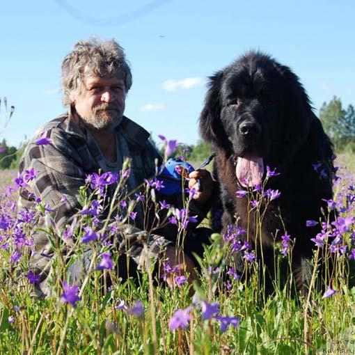 Фотография № 14826