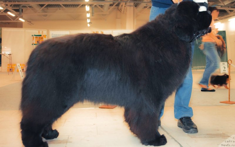 Фотография № 148274