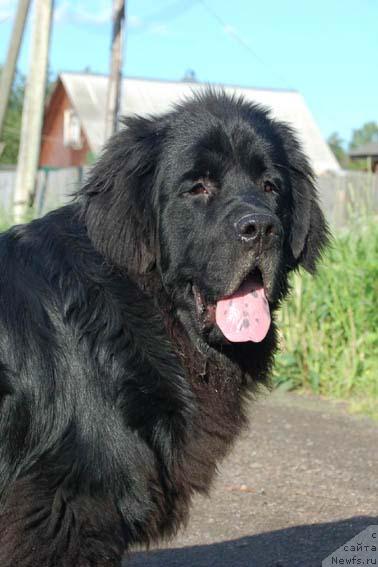 Фотография № 14828