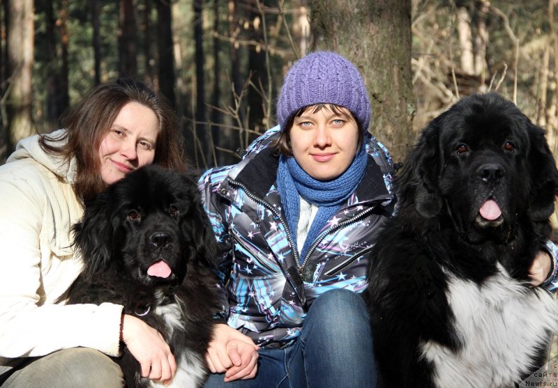 Фото: ньюфаундленд Старбимовлав Гардемарин, Кити, Алла Тузкова, Катерина