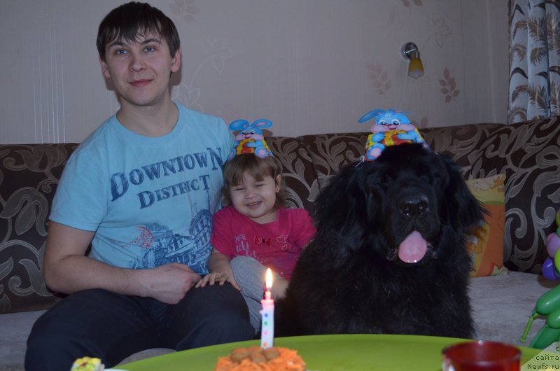 Фото: ньюфаундленд Черная Мафия Зесту Бетту (Chernaya Mafia Zesty Betty), Алексей, Ксюша