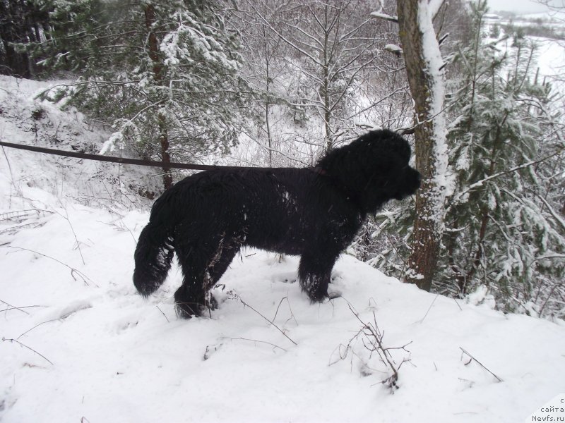 Фотография № 148316